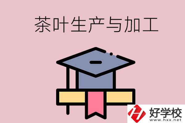 湖南哪些技校開設(shè)了茶葉生產(chǎn)與加工專業(yè)？