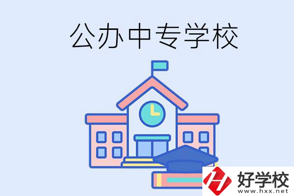 湘西一共有多少所公辦的中專學(xué)校？