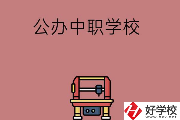 長沙可以學(xué)計算機應(yīng)用專業(yè)的公辦中職學(xué)校有哪些？