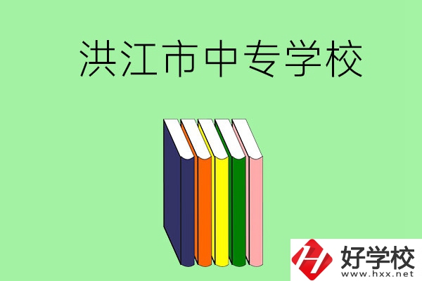 懷化洪江市有哪些職業(yè)中專學(xué)校？