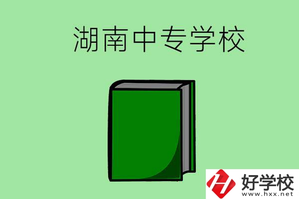 湖南的中專學(xué)校有哪些？都開(kāi)設(shè)了哪些專業(yè)？