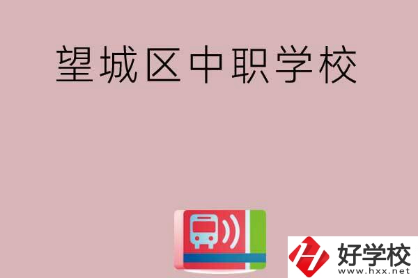 長(zhǎng)沙望城區(qū)哪些中職學(xué)校？