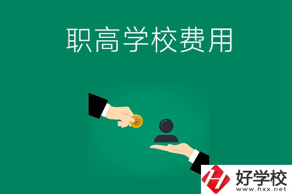 上懷化的公立職高學(xué)校要多少費(fèi)用？