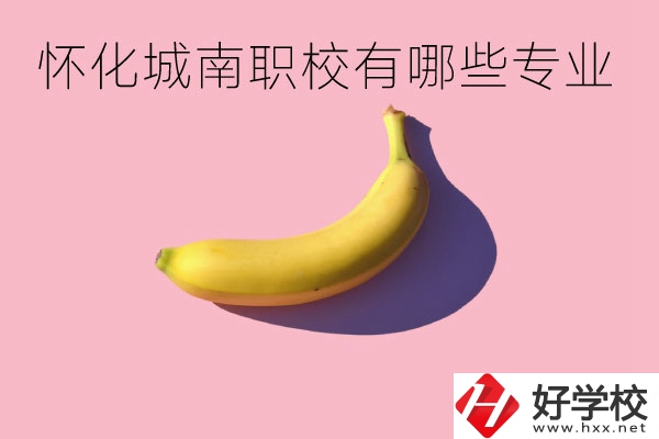 懷化城南職業(yè)學(xué)校有哪些專業(yè)？學(xué)校好不好？