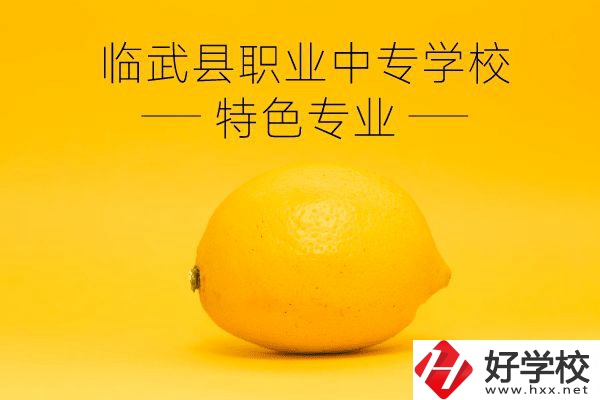 臨武縣職業(yè)中專學(xué)校好嗎？有哪些特色專業(yè)？