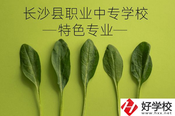 長沙縣職業(yè)中專學校怎么樣？有什么特色專業(yè)？