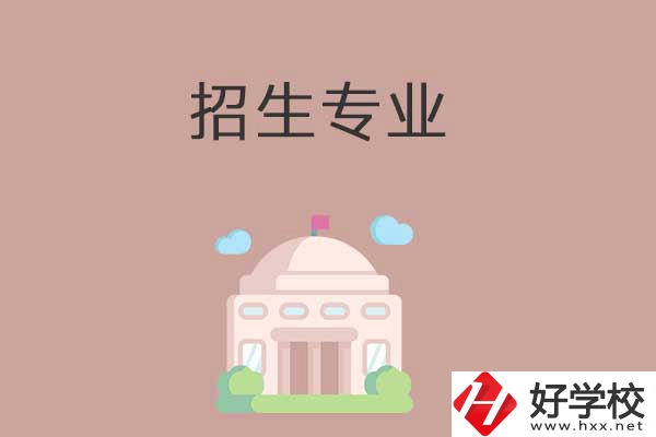 益陽有哪些高職院校設(shè)立了中職部？招生專業(yè)有哪些？