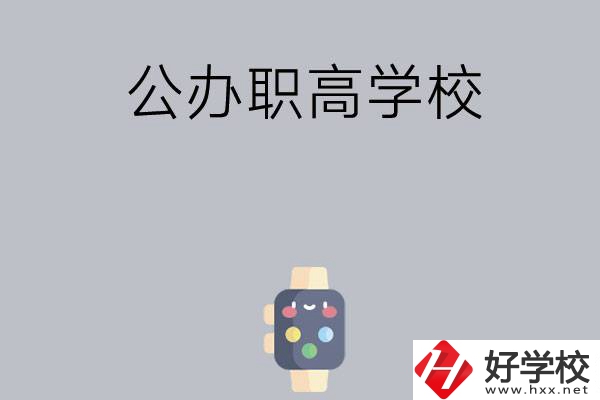 長(zhǎng)沙哪些公辦職高學(xué)校比較有特色？