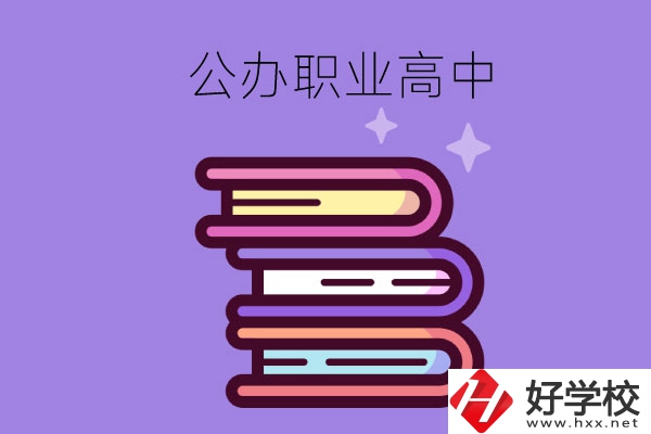 長(zhǎng)沙市有哪些公辦職業(yè)高中學(xué)校？