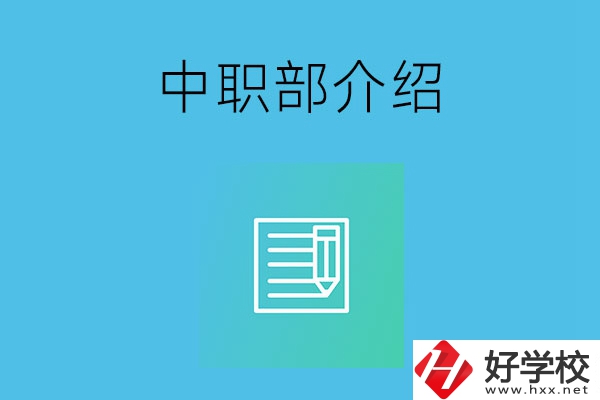 湘潭院校中職部介紹，這幾所學(xué)校你知道嗎？