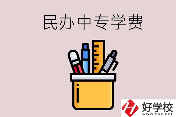 湘潭的民辦中專學(xué)校學(xué)費多少錢一年？