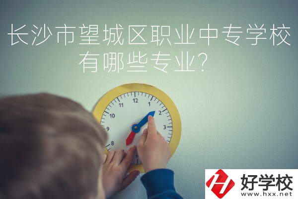 長沙市望城區(qū)職業(yè)中等專業(yè)學(xué)校有哪些專業(yè)？