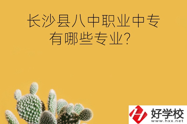 長沙縣八中職業(yè)中專好不好？有哪些專業(yè)？