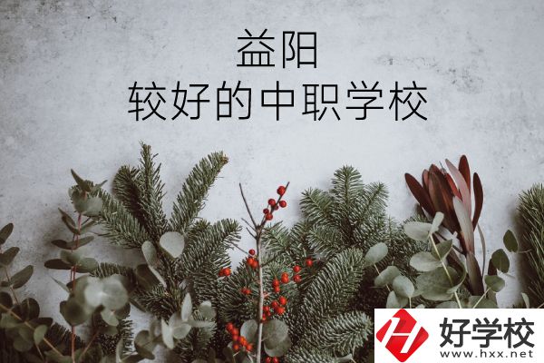 益陽有哪些中職學(xué)校比較好？