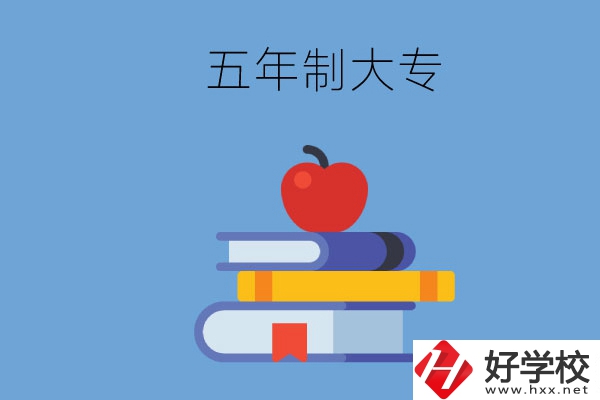 長沙開設(shè)教育類專業(yè)的五年制大專有哪些？