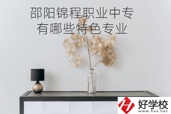 邵陽(yáng)錦程職業(yè)中專有哪些特色專業(yè)？