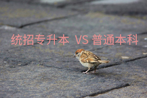 普通專(zhuān)升本 VS 普通本科