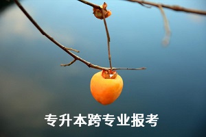 全日制統(tǒng)招專升本考試能跨專業(yè)報(bào)考嗎？有何限制？